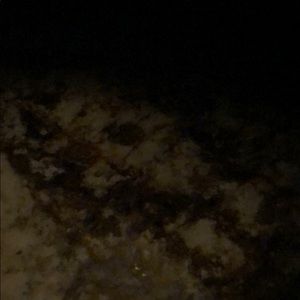 Meet your Posher, Chad